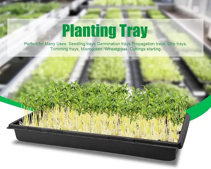 Plant Growing Nursery, Standard 1020 Trays Plastic Seeds Starter Trays Sturdy Self Seedling Tray for Microgreens Indoor Nursery Pots (10-Pack, 21.6"×11.2", 2.52" Deep, no Holes) by GreenHaven Gardens