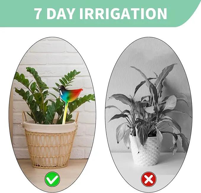 Glass Plant Watering Globes, Flower Watering Globes Self Watering Star Plant Watering Pot, Automatic Multicolored Glass Watering Spray for Everyday Use,3 Pack (B) by GreenHaven Gardens