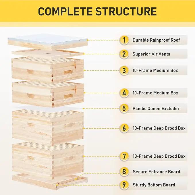 CREWORKS Bee Hive Boxes Starter Kit, Langstroth Beehive for Bee Keeping, 4 Layer Bee House with 20 Medium and 20 Deep Frames & Foundations, Beekeeping Supplies with Plastic Queen Excluder and Nails by GreenHaven Gardens