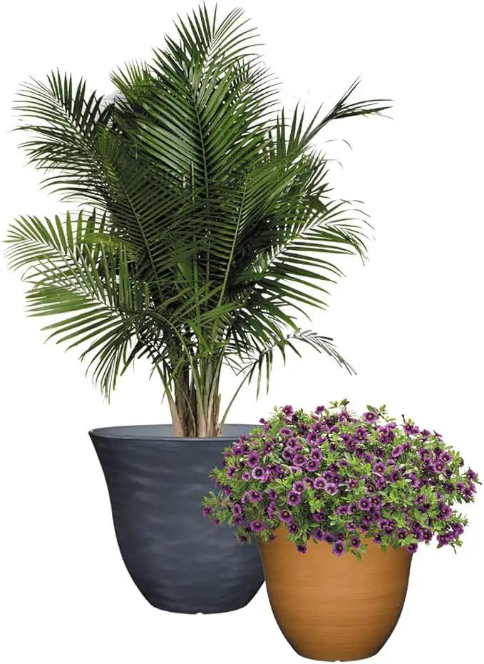 Classic Home and Garden Honeysuckle Resin Flower Pot Planter, Fossil Stone, 15" (Pack of 2) by GreenHaven Gardens