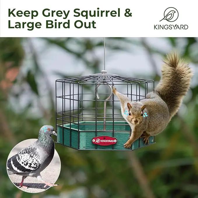 Kingsyard Squirrel Proof Platform Bird Feeders for Outdoor Hanging, Caged Bird Feeder for Small Wildbirds, Recycled Plastic Feeding Platform with Metal Seed Tray, Green by GreenHaven Gardens