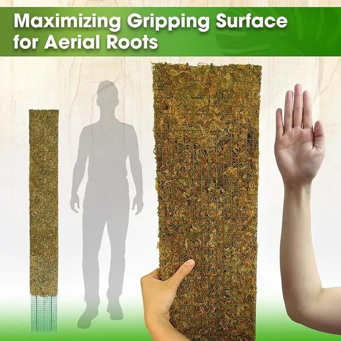 DUSPRO 59’’ Flat Mesh Moss Poles for Climbing Plants Monstera Flat Stacks for Tall Plant with Real Moss Moss Pole for Indoor Plants Plant Stick Support Tall Indoor Plants Support Stakes (1pc., 59'') by GreenHaven Gardens