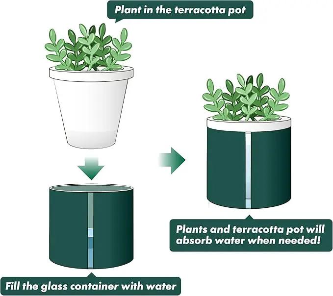 D'vine Dev 4 Inch Design Self Watering Planter for Indoor Plants, White Terracotta Pot with Teal Cylinder Glass Cup, Set of 2, 37-Y-A-5 by GreenHaven Gardens
