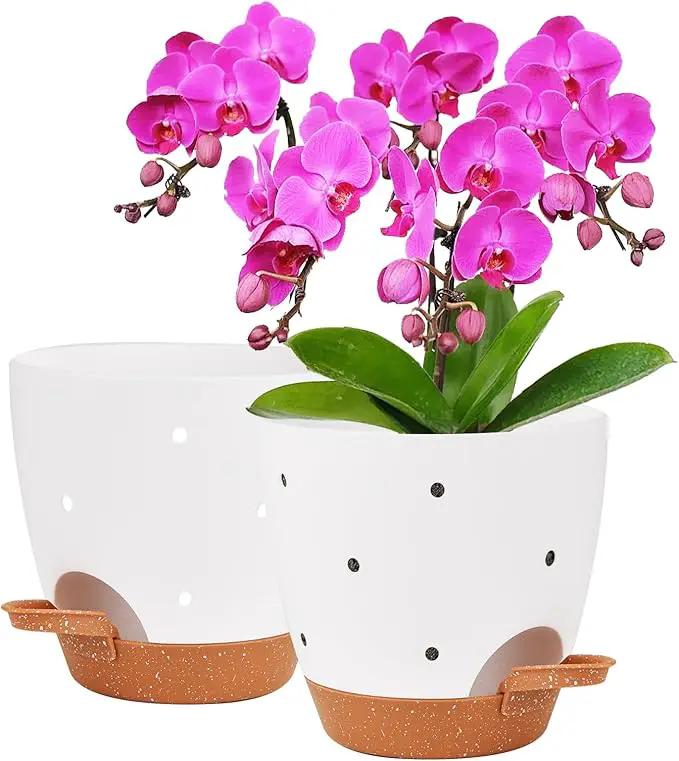 6 Inch Orchid Pots with Holes, 2 Pack Self Watering Planters for Orchids Plastic Orchid Pot Plant Flower Pots for Orchids Indoor Outdoor (White with Brown) by GreenHaven Gardens
