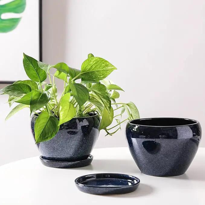 vicrays Ceramic Plant Pots Indoor - 6.5 Inch Planter Pot with Drainage Hole and Saucer for Succulent Orchid Flower Herbs Cactus - Ideal for Gardening Home Desktop Office Decor - Blue by GreenHaven Gardens