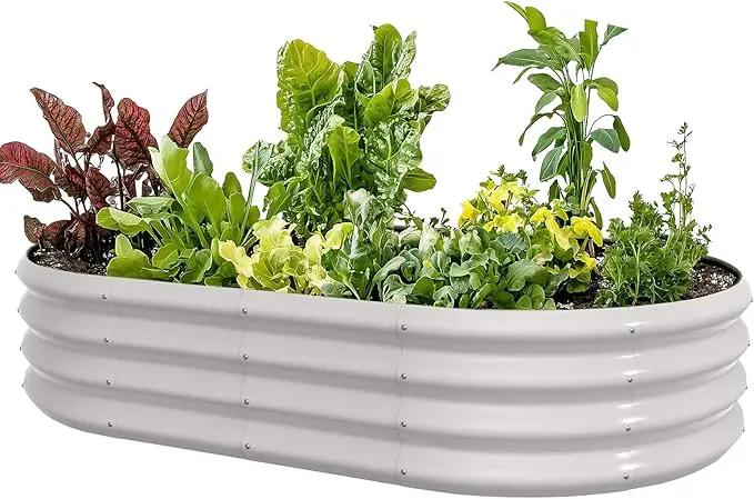 5x3x1ft Oval Galvanized Raised Garden Bed Outdoor 9-in-1 Large Metal Modular Planter Box Raised Beds for Gardening,Vegetables,Fruits,Flowers & Herbs (White) by GreenHaven Gardens