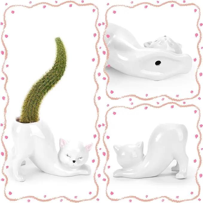 TOIVO Unique Cat Planter Pot，Indoor and Outdoor Plant Displays，Funny Ceramics Cat Flower Pot，Cat Gifts for Cat Lovers，Lovely Office Desk Room Home Decor (White, Small) by GreenHaven Gardens
