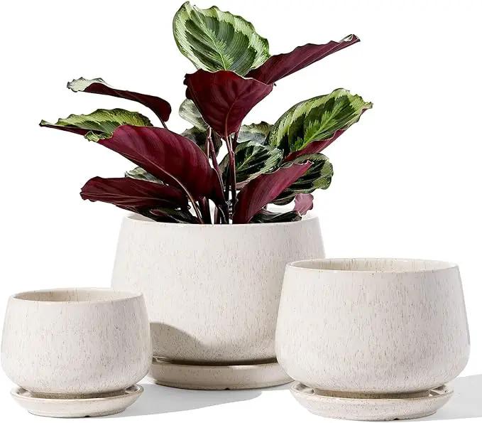 LE TAUCI Plant Pots, 4.1+5.1+6.5 inch, Set of 3, Ceramic Planters with Drainage Hole and Saucer, Indoor Flower Pot with Hole Mesh Pad, Gifts for Mom, Reactive Glaze Beige by GreenHaven Gardens