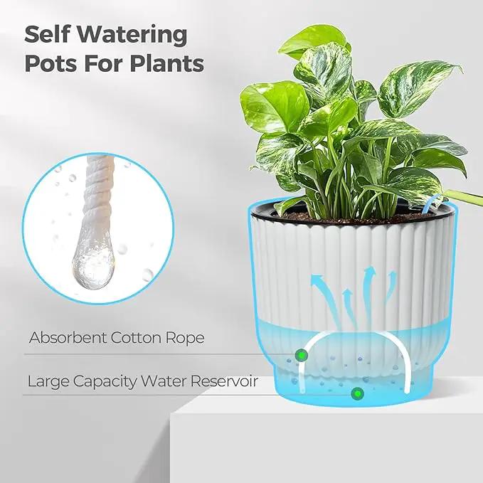 T4U 6 Inch Self Watering Pots for Indoor Plants, 6 Pack White Plastic Flower Pots for All House Plants, Flowers, African Violets by GreenHaven Gardens