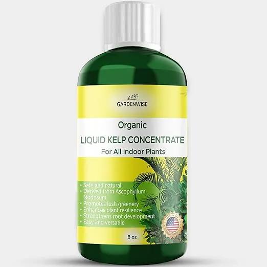 Organic Premium Kelp Seaweed Fertilizer - Liquid Hydroponics Fertilizer - Liquid Plant Food - Nutrient-Rich Soil Enhancer - Natural Plant Food for All Indoor Plants (8 oz) by GreenHaven Gardens