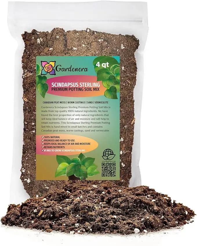 Scindapsus Sterling Potting Mix - Promote Strong Roots and Captivating Foliage with Our Premium Blend - 4 Quart by GreenHaven Gardens