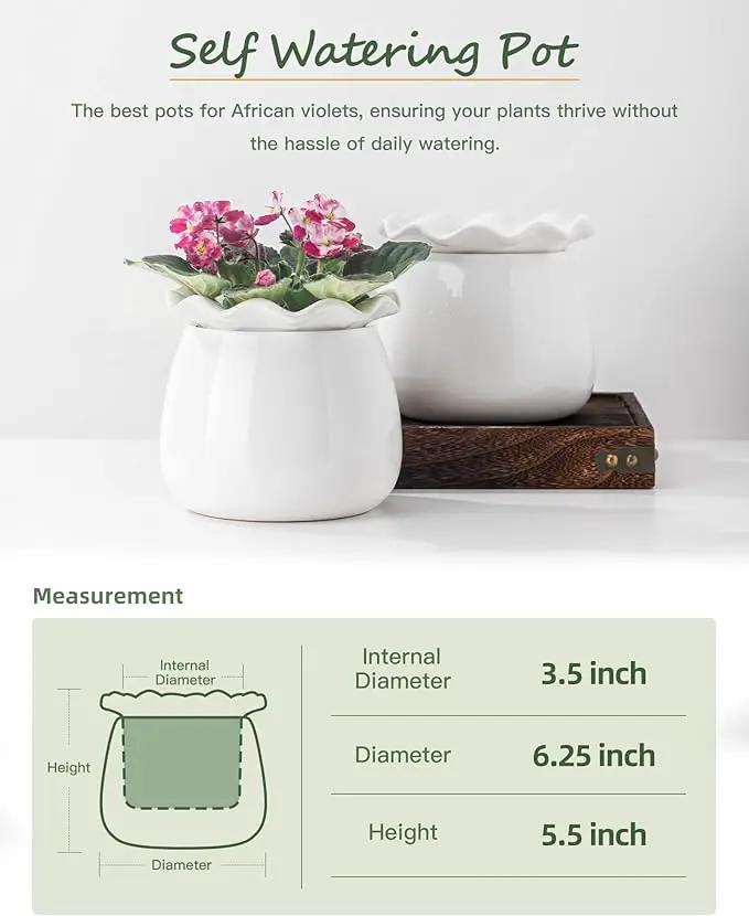 Self Watering Plant Pot, 6 Inch African Violet Pots Maintenance, Ceramic Self-Watering Planter for Indoor Plants - Ideal Flower Pot for Thriving Indoor Gardens by GreenHaven Gardens