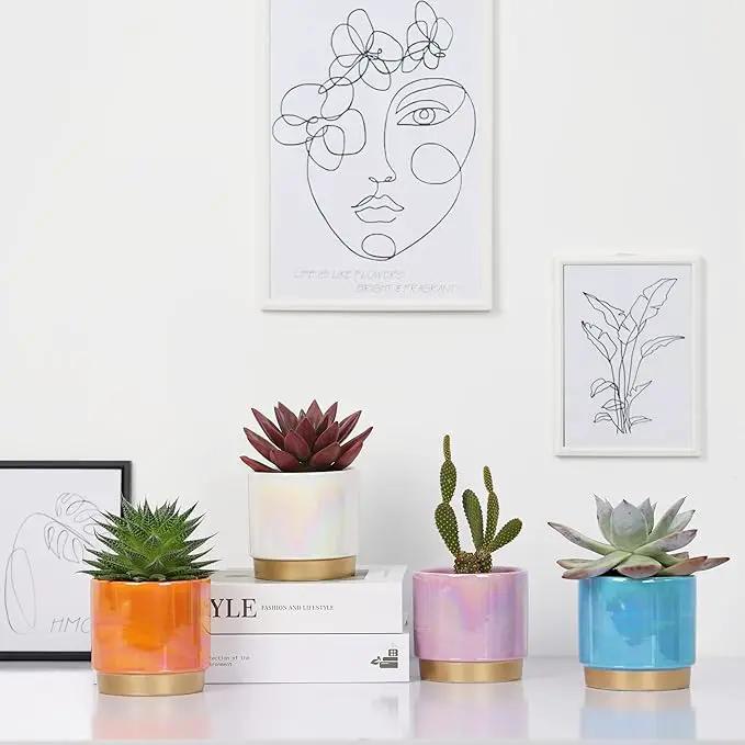 Gepege Succulent Pots for Plants, Succulent Planter with Drainage Holes, Ceramic Pot for Indoor Plant, Set of 4 by GreenHaven Gardens