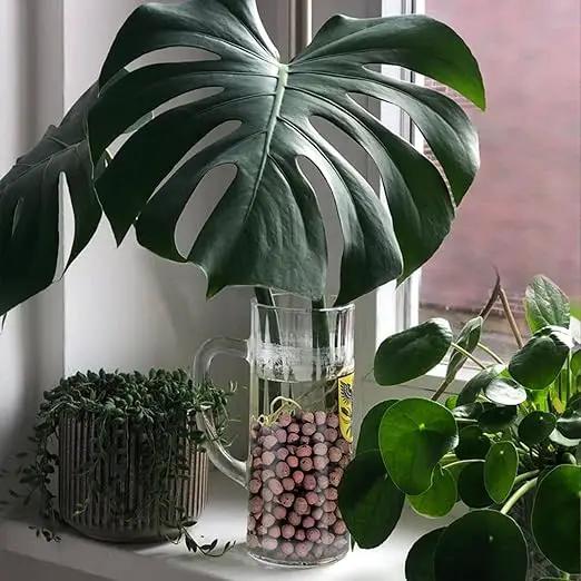 Calofulston 7LB Expanded Clay Pebbles for Plants, Leca Clay Balls for Indoor Plants, Drainage, Orchid Potting Mix, Soil Amendment, Easy Reusability, 4-16mm by GreenHaven Gardens