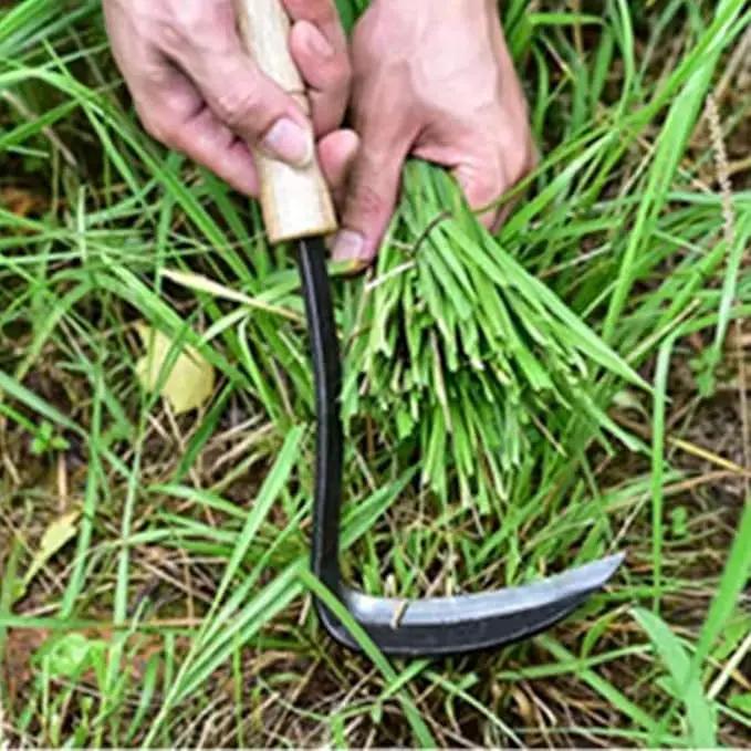 Kana Hoe 217 Japanese Garden Tool - Hand Hoe/Sickle is Perfect for Weeding and Cultivating. The Blade Edge is Very Sharp. (Beijing-022) by GreenHaven Gardens