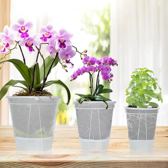 Cdd's Path 6-Pack Self Watering Pots Set with Holes for Indoor/Outdoor Plants,2 Each of 5, 6 and 7 Inch Planter Pot with Watering Hole/Reservior and Air Pipes,Clear by GreenHaven Gardens