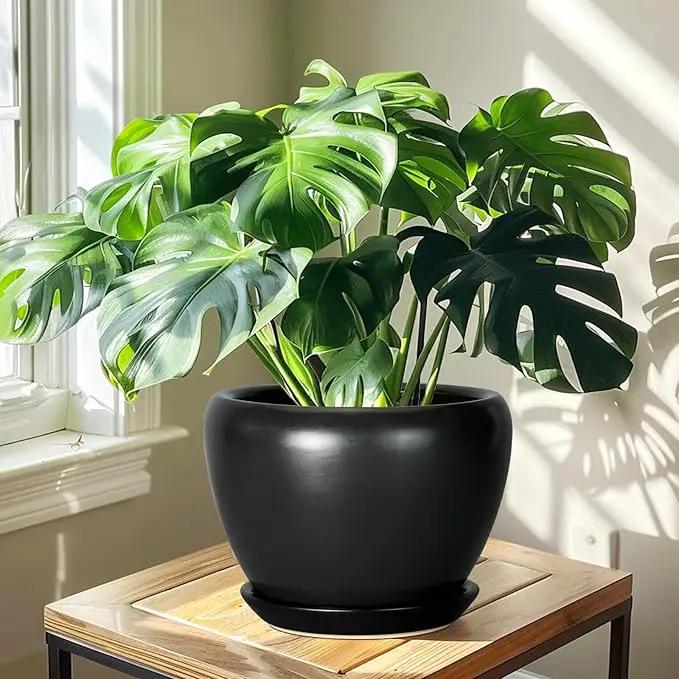 Ceramic Pot for Plants - 10 Inch Plant Pot Indoor with Drainage Hole and Saucer Large Planter Decorative Planter Modern Outdoor Flower Pot for House Balcony Black by GreenHaven Gardens