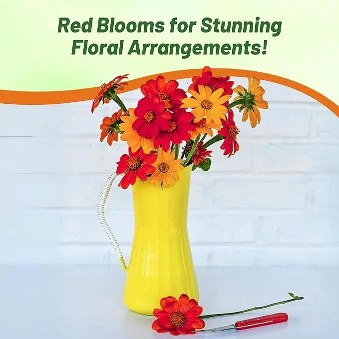 Outsidepride Red Torch Mexican Sunflower Seeds - 2000 Seeds Annual Tithonia, Fast-Growing, Heat & Drought-Tolerant Flower Seeds for Pollinator Gardens, Landscapes, & Flower Arrangements (AAS Winner) by GreenHaven Gardens