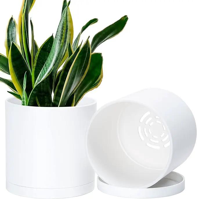 D'vine Dev 2 Pack 6.5 Inch Modern Plastic Plant Pots, Small Garden Planters for Plant with Drainage Holes and Saucers, White Color, 74-Z-L-1 by GreenHaven Gardens