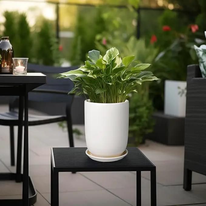 Plant Pot 8 Inch - Ceramic Planter for Indoor Plants Outdoor, Large Plant Pot with Drainage Hole and Saucer, Modern Flower Pot, White by GreenHaven Gardens