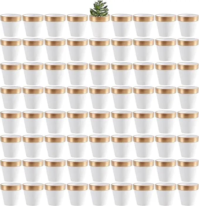 Yishang 72 pcs Small Mini White&Gold Clay Pots, 2.5'' Terracotta Pot Clay Ceramic Pottery Planter,Cactus Flower Terra Cotta Pots,Succulents Nursery Pots,with Drainage Hole,for Crafts,Wedding Favor by GreenHaven Gardens