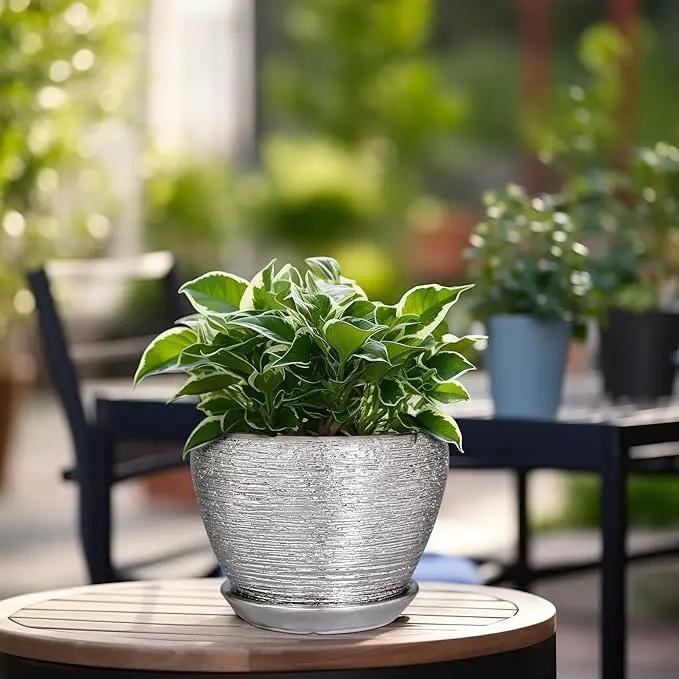 Ceramic Planter - 6 Inch Plant Pot Indoor with Drainage Hole and Saucer Outdoor Pot for Plants Round Decorative Planter Modern Mid-Century Flower Pot for Office Decor Silver by GreenHaven Gardens