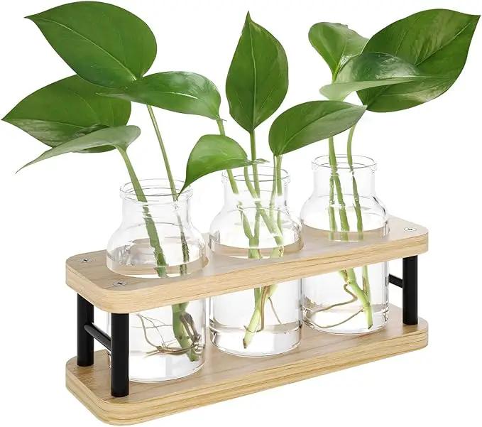 THYGIFTREE Plant Propagation Station with Wooden Stand, Propagation Vases Glass Planters for Indoor Plants Hydroponic Propagating Jars Home Office Decor, Plant Lover Gifts by GreenHaven Gardens
