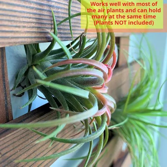 ShopLaLa Wall Planter - Hanging Wooden Wall Planter for Indoor Outdoor Plants, Vertical Garden, Plant Wall Mount Planter, Air Plant Succulent Holder for Flower Pot Display Hanger Frame 47.2" (120cm) by GreenHaven Gardens