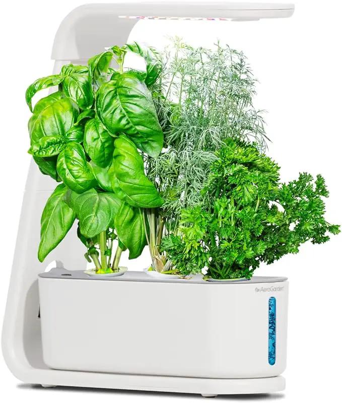 AeroGarden Sprout - Indoor Garden with LED Grow Light, White by GreenHaven Gardens