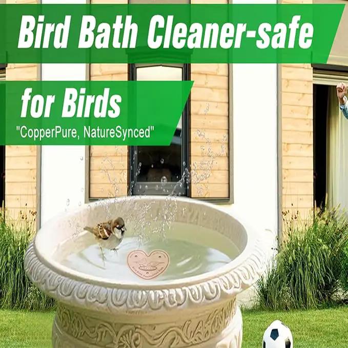 4-Pack 99.99% Pure Copper Bird Bath Purification Disk,Copper Disc with Stable Triple-Point Support,Fits All Outdoor Bird Baths(Heart-Shaped) by GreenHaven Gardens