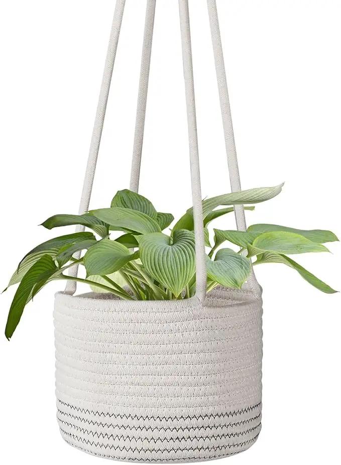 Flexzion Hanging Plant Basket Boho Cotton Rope Basket Indoor Hanging Planter, Up to 7" Flower Pot, Macrame Woven Modern Plant Holder, Storage Bin Organizer, Home Decor with 20" Hanging Rope, White by GreenHaven Gardens