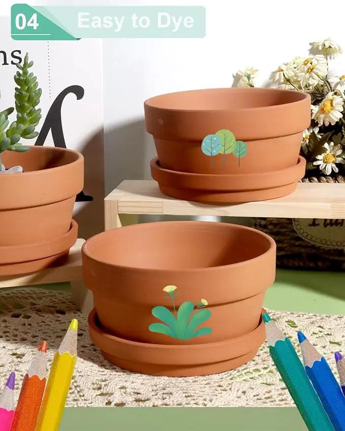 vensovo 5.7 Inch Terracotta Shallow Succulent Pot - 6 Pack Terra Cotta Clay Pots with Saucer, Cacuts Terra-Cotta Indoor and Outdoor Planters with Drainage Hole by GreenHaven Gardens