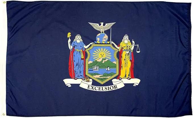 FlagSource New York Nylon State Flag, Made in USA, 8x12' by GreenHaven Gardens