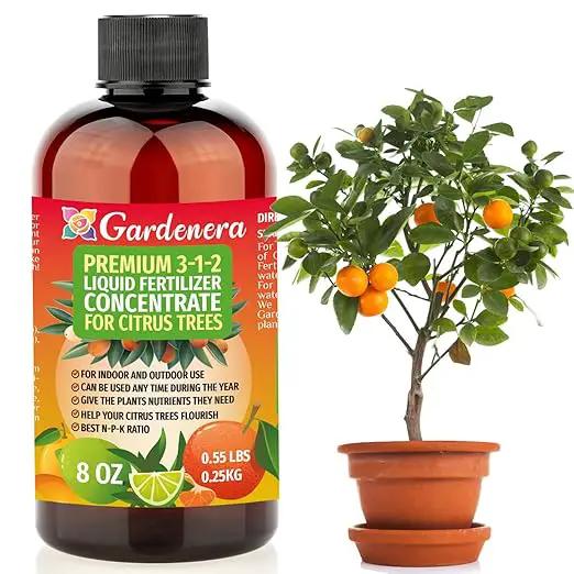 Premium Liquid Citrus Tree Plant Fertilizer - 3-1-2 Concentrate for Indoor Plants and Flowers by Gardenera | Organic Plant Food for Citrus Trees - 8oz by GreenHaven Gardens