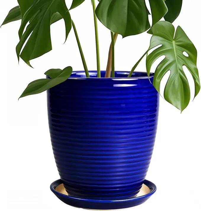 Ceramic Planter Pot - 8 Inch Plant Pot with Drainage Hole and Tray Round Planter Modern Flower Pot for Indoor Outdoor Plants Decorative Garden Pot Blue by GreenHaven Gardens
