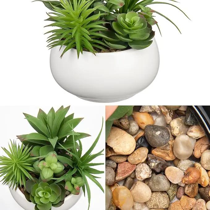 Fake Plants Artificial Succulents in Pots Faux Succulent Arrangement Potted Plant in White Ceramic Planter Bowl for Home Decor Office Desk Bathroom Shelf Living Room Indoor Decorations by GreenHaven Gardens