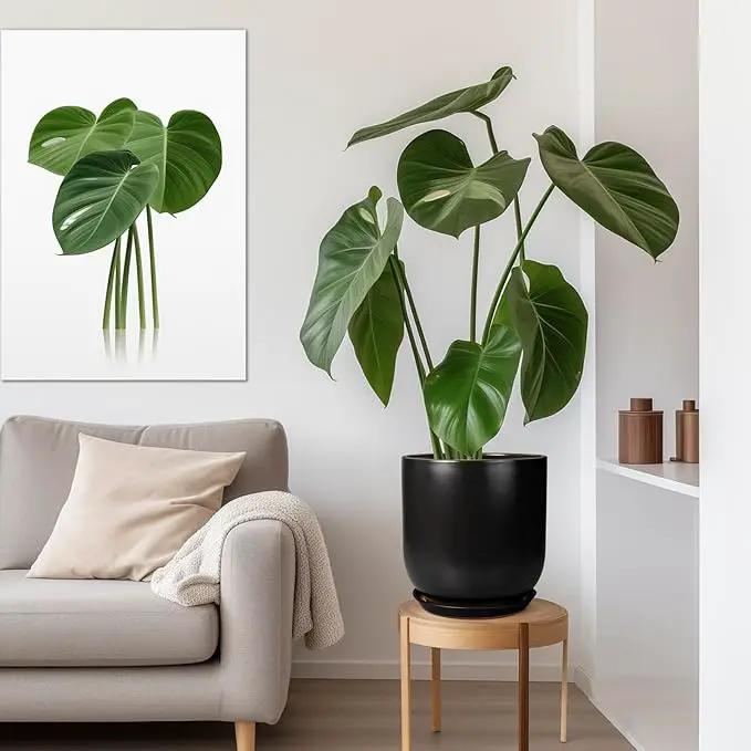 Ceramic Planter Pot - 12 Inch Large Plant Pot with Drainage Hole and Saucer Modern Flower Pot for Indoor Outdoor Plants Home Garden Decor Black by GreenHaven Gardens
