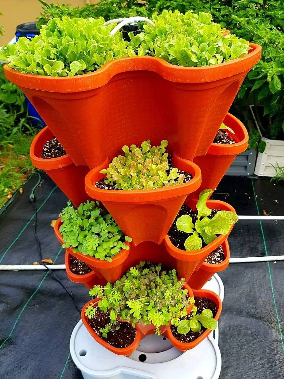 Mr. Stacky Smart Farm - Automatic Self Watering Garden - Grow Fresh Healthy Food Virtually Anywhere Year Round - Soil or Hydroponic Vertical Tower Gardening System (Standard Kit, Terracotta) by GreenHaven Gardens