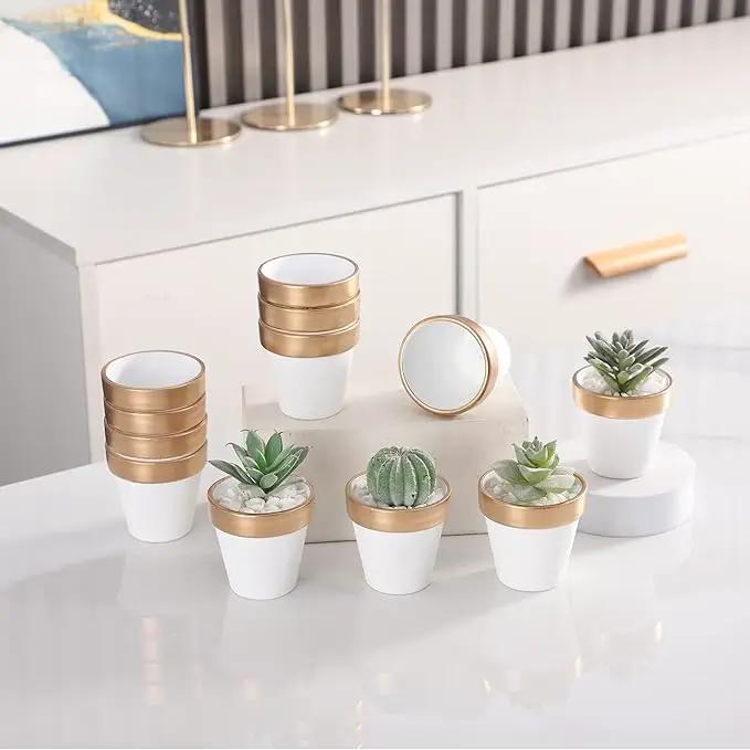 Yishang 36 pcs Small Mini White&Gold Clay Pots, 2.5'' Terracotta Pot Clay Ceramic Pottery Planter,Cactus Flower Terra Cotta Pots,Succulents Nursery Pots,with Drainage Hole, for Crafts,Wedding Favor by GreenHaven Gardens