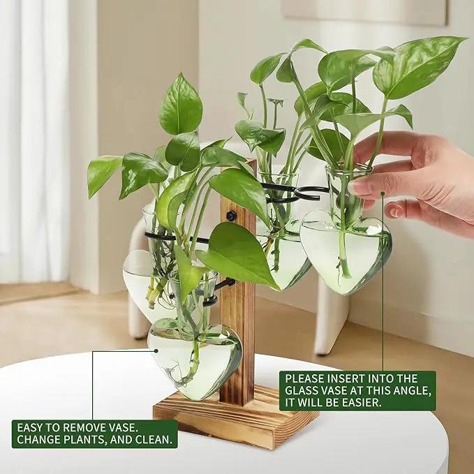 Plants Propagation Stations Plant Terrarium Kit Glass Planters for Indoor Plants House Plant Accessories Gift for Women - 4 Love Bulb Vase by GreenHaven Gardens