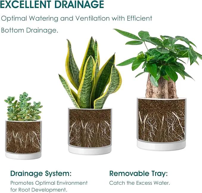 vancasso Ceramic Plant Pots, 3 Piece Planters for Indoor Plants, 4.25+5.25+6.25 Inch Flower Pots with Drainage, Plant Pots Indoor for Succulent, Pothos, Snake Plant and Money Tree, Etc (White) by GreenHaven Gardens