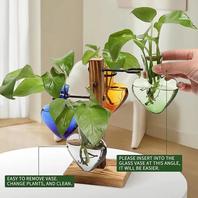 Plants Propagation Stations Plant Terrarium Kit Glass Planters for Indoor Plants House Plant Accessories Gift for Women - 4 Love Bulb Vase by GreenHaven Gardens