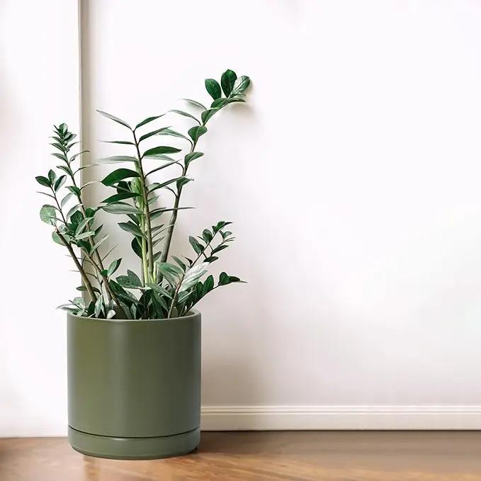 D'vine Dev 8 Inch Ceramic Planter Pot with Drainage Hole and Saucer, Indoor Cylinder Round Planter Pot, Olive, 94-O-D-J by GreenHaven Gardens