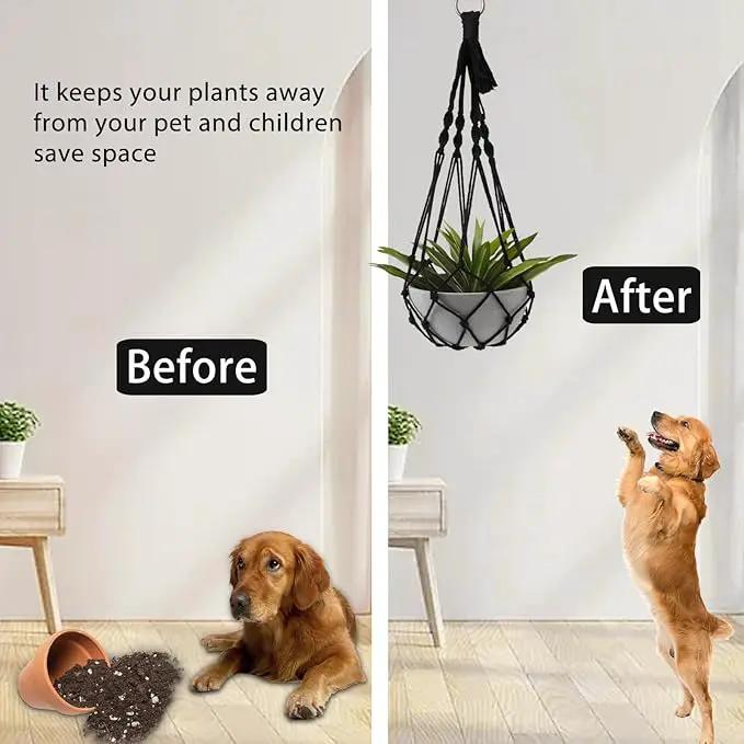Artilady Black Plant Hanger Macrame Hanging Planter for Indoor Boho Plants Holder with Hooks Hanging Plant Basket Outdoor Window Wall Plants Home Decor by GreenHaven Gardens