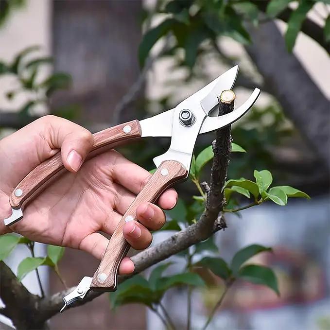 BUGUI Wood Handle Pruning Shears, SK-5 Steel Blade, 1-inch Cutting Capacity, Sharp, Well Designed Garden Shears, 8" by GreenHaven Gardens