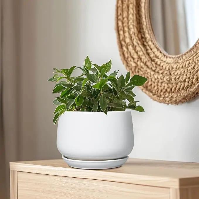 G EPGardening Ceramic Planter 9 Inch - Plant Pots with Drainage and Ceramic Saucer, Flower Pots for Indoor Plants, Modern Outdoor Planter, Living Room Decor, Gifts for Plant Lovers, White by GreenHaven Gardens