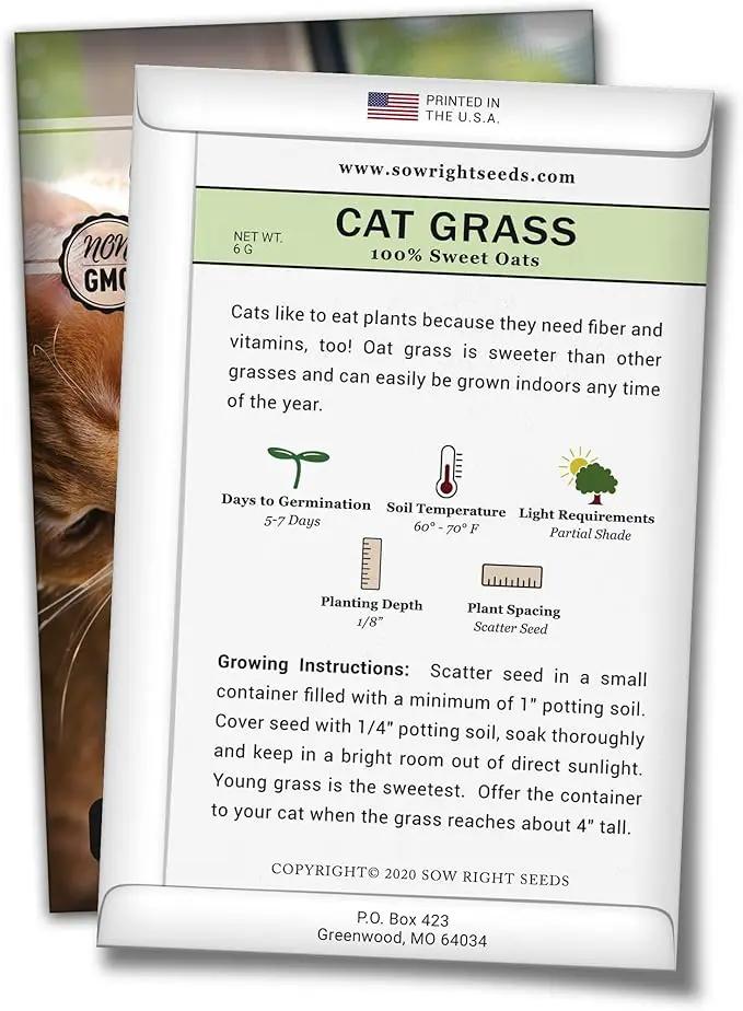 Sow Right Seeds - Cat Grass Seeds for Planting - 100% Sweet Oats - Non-GMO Heirloom Healthy Greens for Cats and Dogs - Easy to Grow - Safe & Natural Indoor Use - Ideal for Pet Lovers by GreenHaven Gardens