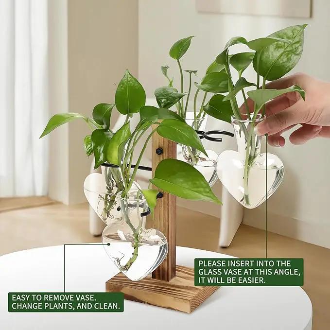 Plants Propagation Stations Plant Terrarium Kit Glass Planters for Indoor Plants House Plant Accessories Gift for Women - 4 Love Bulb Vase by GreenHaven Gardens