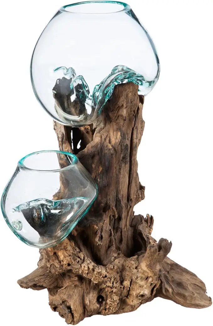 Cape Craftsmen 12" H Hand-Blown Blue Tinted Bubble Glass On Natural Teak Driftwood Terrarium | Home Décor Indoor Planter with Stand | Pot for Succulent and Plants by GreenHaven Gardens
