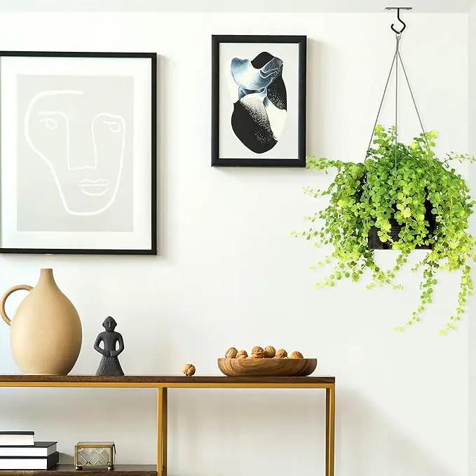 AJART Ceiling Hooks for Hanging Plants: Iron Plant Hanger for Wall Mount - 4 Pack/2.5 Inch Ceiling Hook for Indoor Use by GreenHaven Gardens